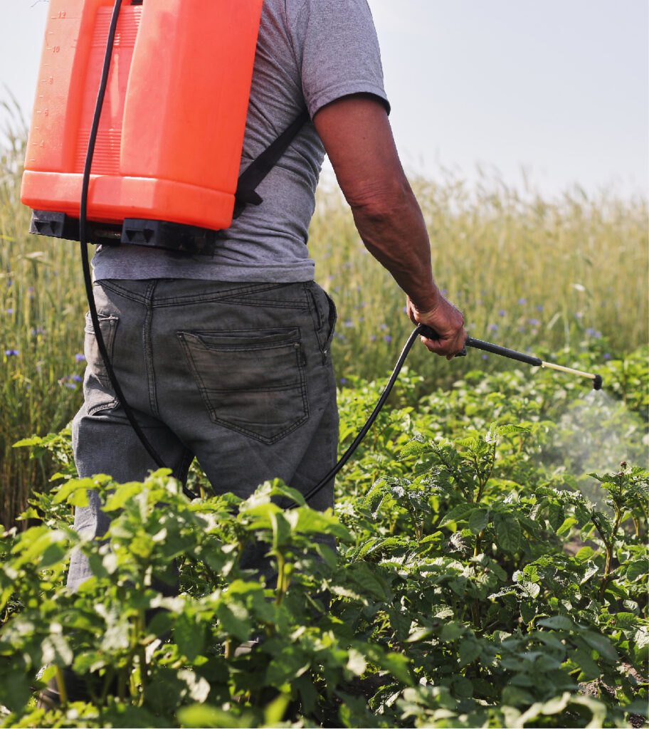 farmer-with-mist-sprayer-treats-potato-plantation-from-pests-fungus-infection_edit